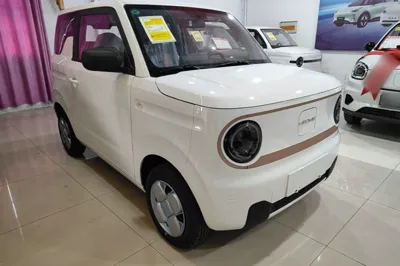 Geely Galaxy Panda
