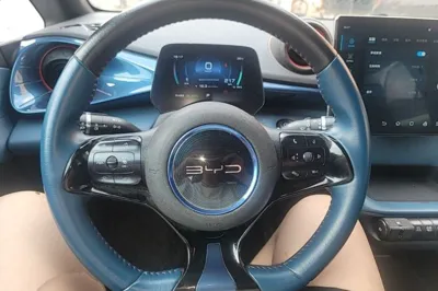 BYD Dolphin