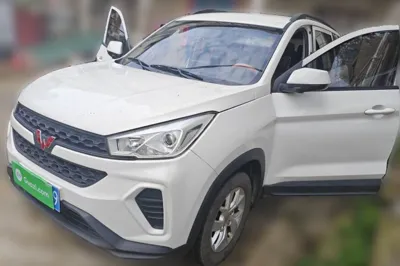 Wuling Hongguang S3