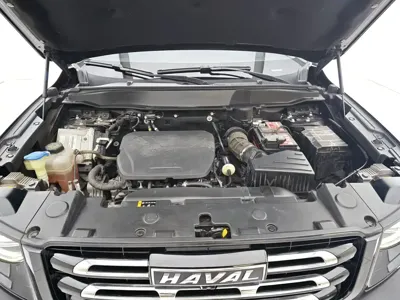 Haval Big Dog