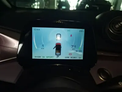 BYD Dolphin