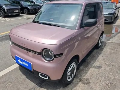 Galaxy Panda