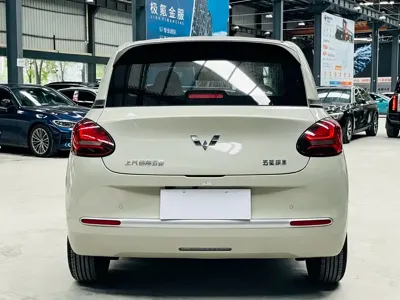 Wuling Bingo