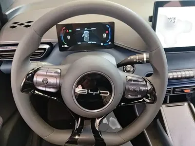 BYD Seagull