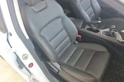 Geely Auto Binray