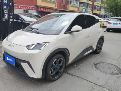 BYD Seagull