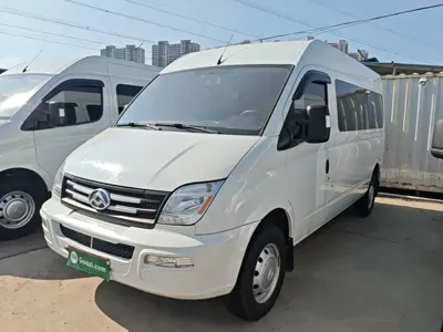 Maxus V80