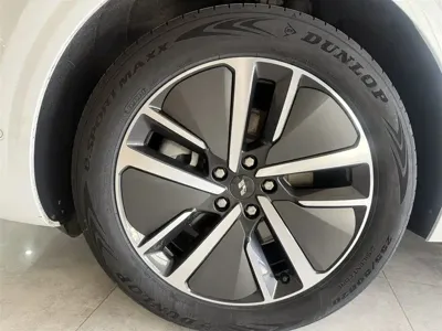 Li Auto Li L6