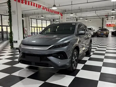 BYD Pro New Energy