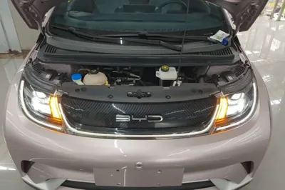 BYD Dolphin