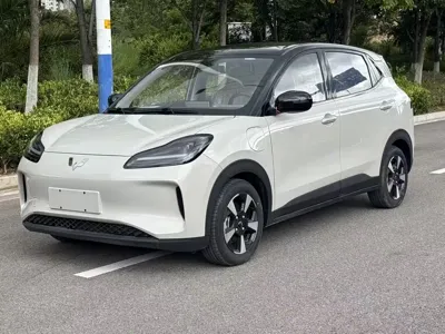 Wuling Bingo PLUS