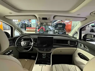 Denza Denza D9