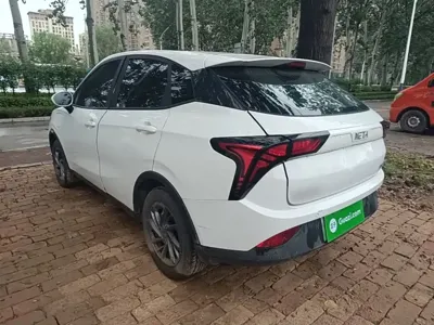 NETA Neta V