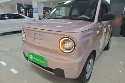 Geely Galaxy Panda