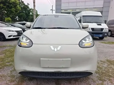 Wuling Bingo