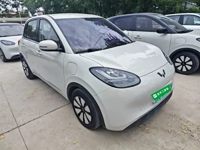 Wuling Bingo