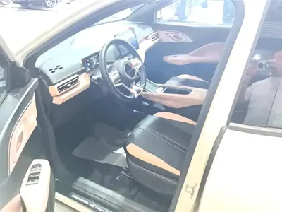 BYD Seagull