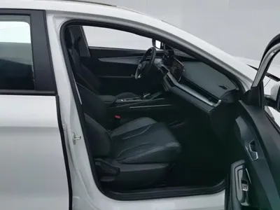 Geely Binrui