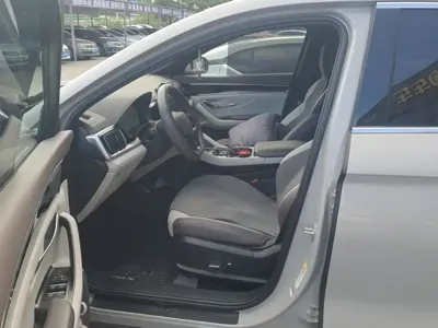 BYD PLUS New Energy