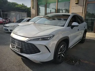 BYD L DM-i