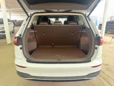 Volkswagen Viloran
