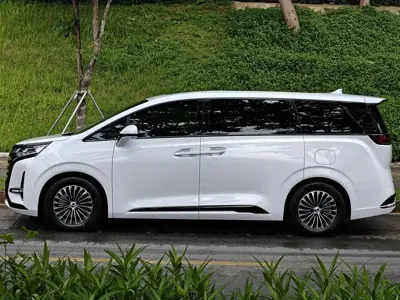 Denza Denza D9
