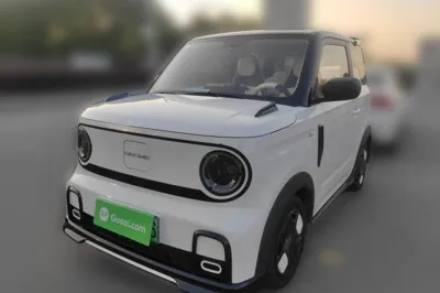 Geely Galaxy Panda