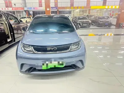 BYD Dolphin