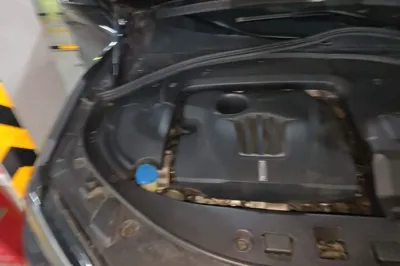 WEY VV7