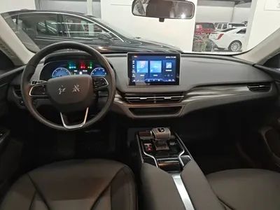 Hongqi Hongqi E-QM5