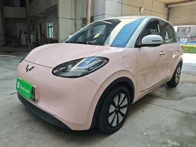 Wuling Bingo