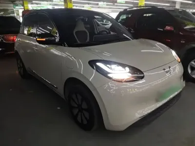 Wuling Bingo