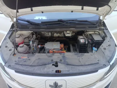 Livan Mapple 80V