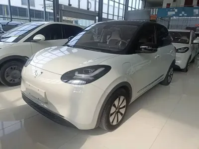 Wuling Bingo
