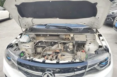 Dongfeng NAMMI EX1