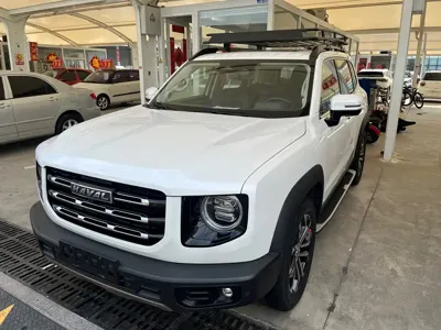 Haval Big Dog