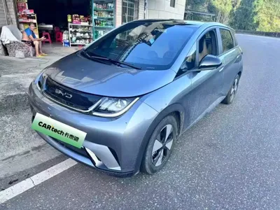 BYD Dolphin