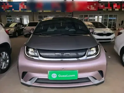 BYD Dolphin