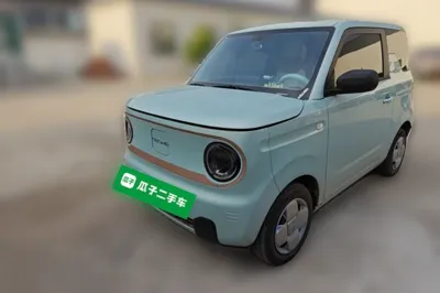 Geely Galaxy Panda