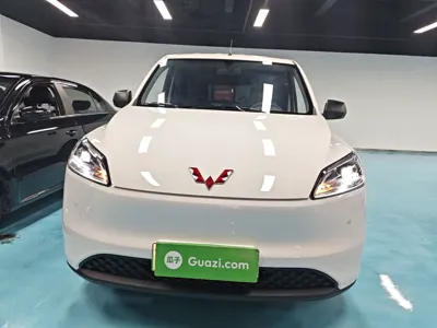 Wuling Hongguang New Energy
