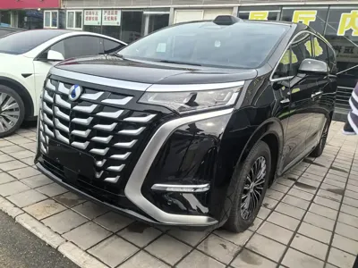 Denza Denza D9
