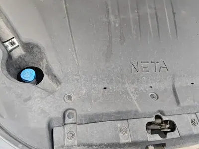 NETA Neta V