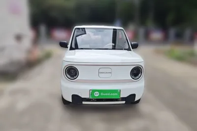 Geely Galaxy Panda
