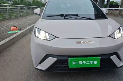 BYD Seagull