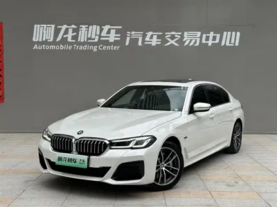 BMW 5 Series New Energy