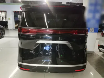 Denza D9