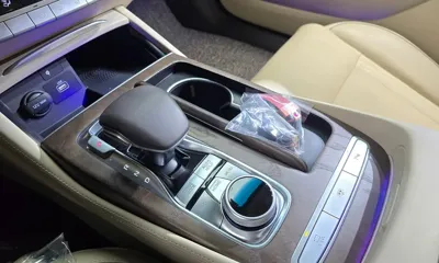 Kia K9