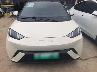 BYD Seagull