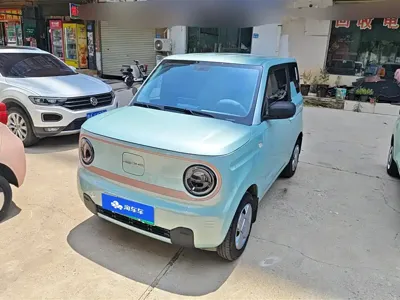 Galaxy Panda