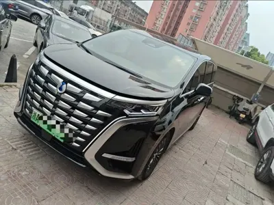 Denza Denza D9
